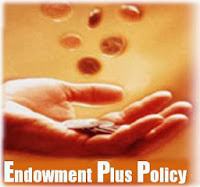 Endowment Policies - Perfec Life Insurance Plan for the Entire Family