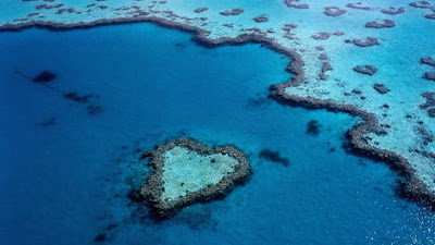 Belize Barrier