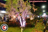 Festa_de_Padroeiro_de_Catingueira_2012 (10)