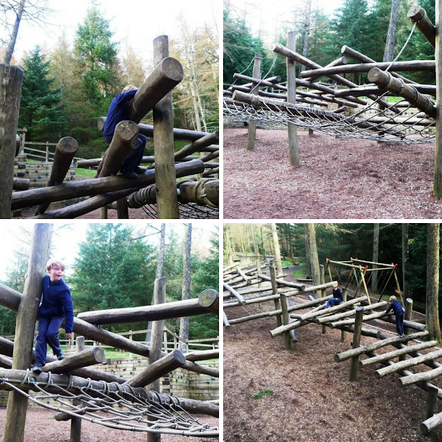 Wild Play at Whinlatter Forest in The Lake District - near to Keswick in Cumria.