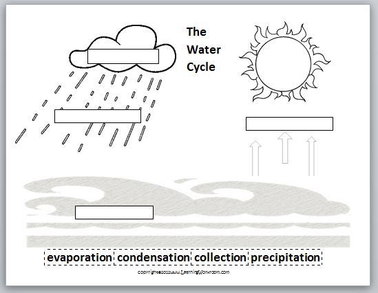 Grades Ideas Learning Water with Frizzle weather Ms. for  8:  Cycle 2 K grade on worksheet The