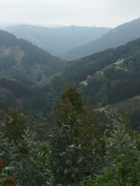 Spain, Marronda forest and the Eo River   by E.V.Pita (2015)  http://evpita.blogspot.com/2015/06/spain-marronda-forest-and-eo-river.html   Fraga de Marronda - río Eo (Baleira, Lugo)  por E.V.Pita (2015)