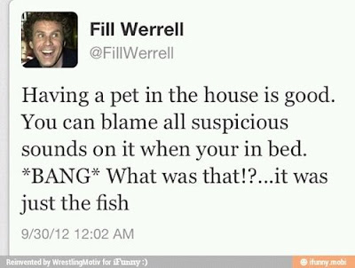 will ferrel tweet, pet in the house blame sounds, it was the fish