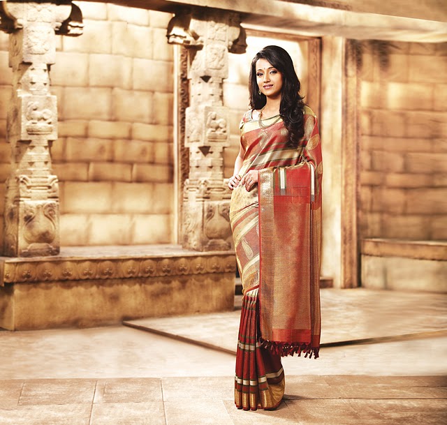 Hot Tamil Actress Trisha In Saree