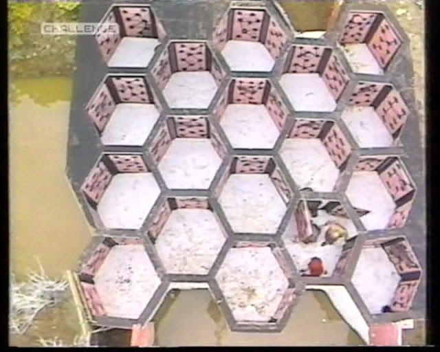 Permainan di Benteng Takeshi Honeycomb Maze