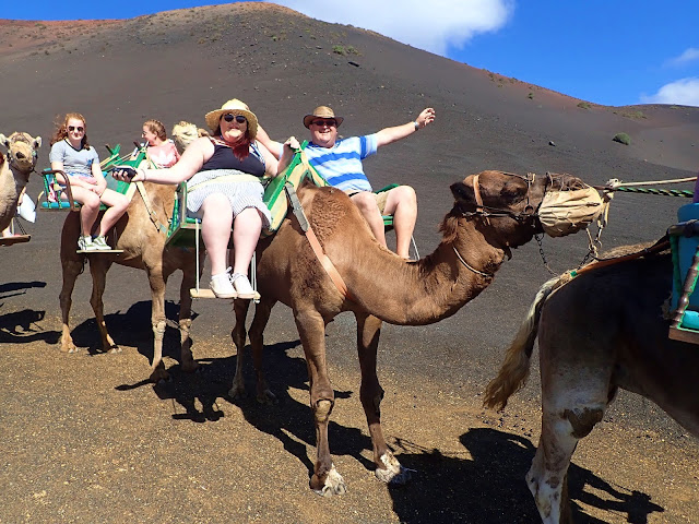 What to do in Arrecife Lanzarote Timanfaya National Park Camel Ride Coach Tour Plus size Travel blogger The Owlet