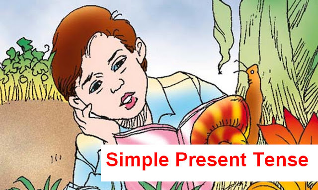 Pengertian Simple Present Tense beserta contoh dan terjemahannya