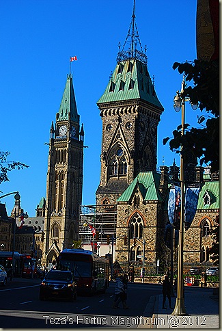 DSC_0080