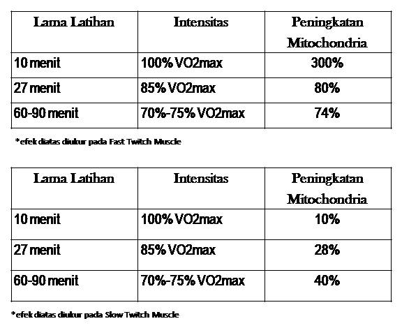 Hasil gambar untuk latihan vo2max