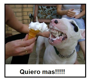 IMAGENES GRACIOSAS DE BULL TERRIER PARA COMPARTIR