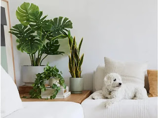 ¿Son compatibles las plantas artificiales y los animales en casa?