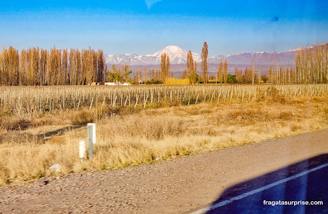 Vinhedos e montanhas em Mendoza, Argentina