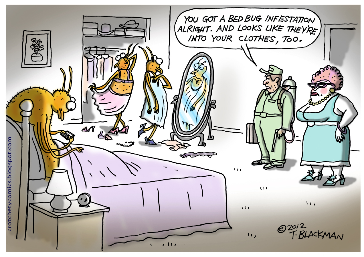 Crotchety Comics: BED BUGS!