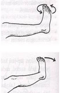 Gambar Senam Jari, Info Top!