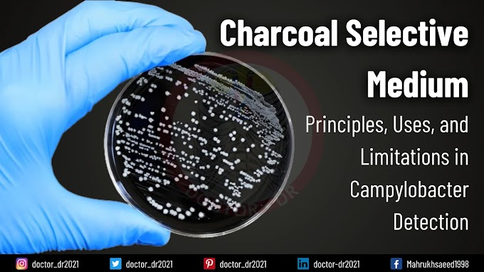 Charcoal Selective Medium: Principles, Uses, and Limitations in Campylobacter Detection