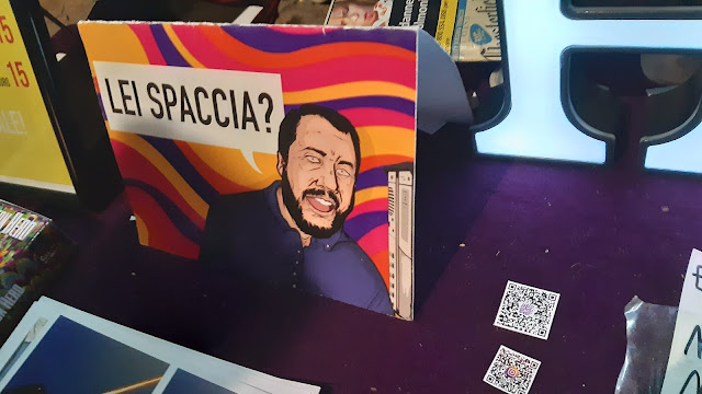 l'immagine di Salvini descritta giù