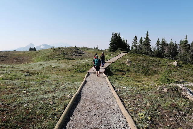 Walkway to the Standish Viewpoint