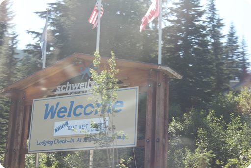 Schweitzer 063