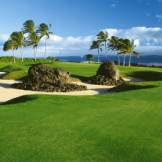 Beautiful Golf Course In Hawaii