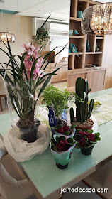 decore-com-plantas