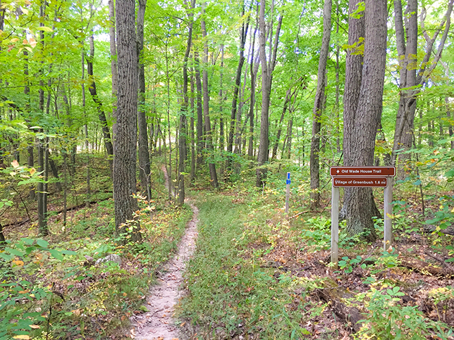 Ice Age Trail Greenbush Segment