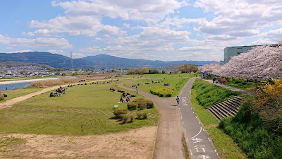 令和２年　南河内の桜　その１