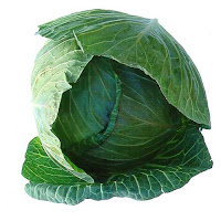 Anti Cancer Fruits and Vegetables - cabbage