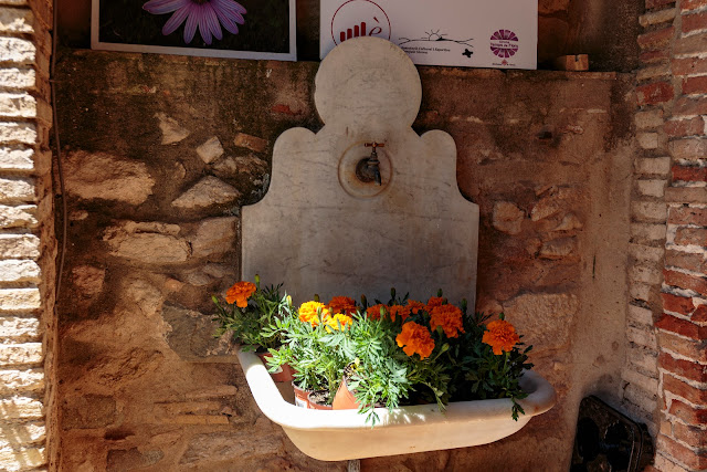 Праздник цветов в Жироне 2017 (Temps de Flors Girona 2017)