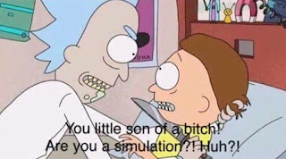 RICK AND MORTY YOU LITTLE SON OF A BITCH ARE YOU A SIMULATION