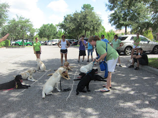 A game of puppy tic tac toe is in progress.  Coach has just been place on the corner square and is looking up at me.