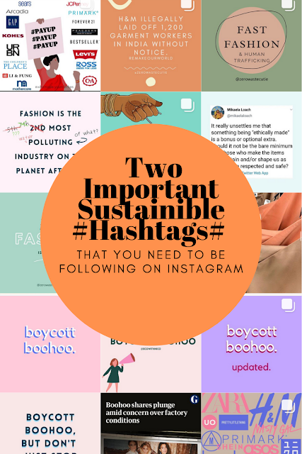 A graphic of important hashtags to follow on Instagram