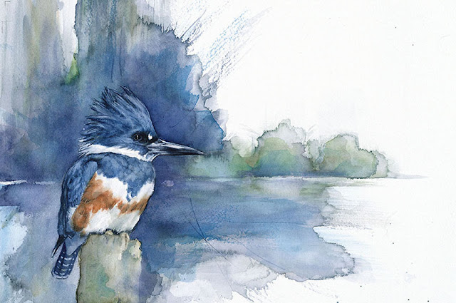 birds watercolor paintings