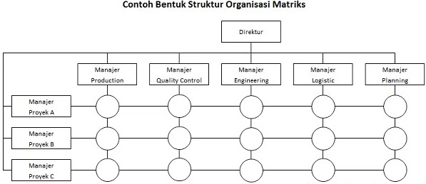 Struktur Organisasi Matriks