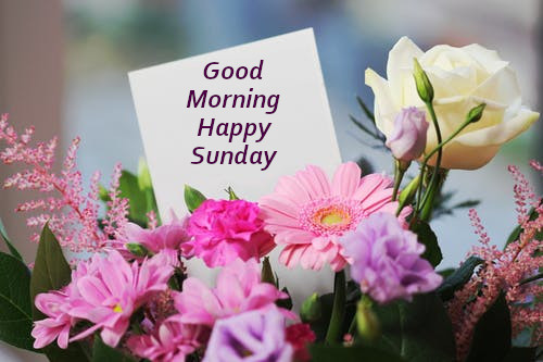 Good Morning Ji Happy Sunday