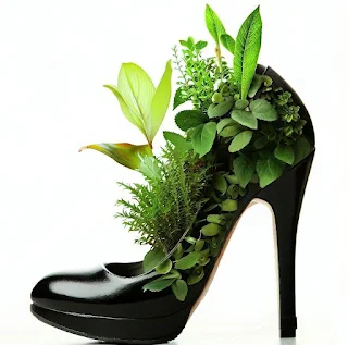 high heel shoe filled with plants