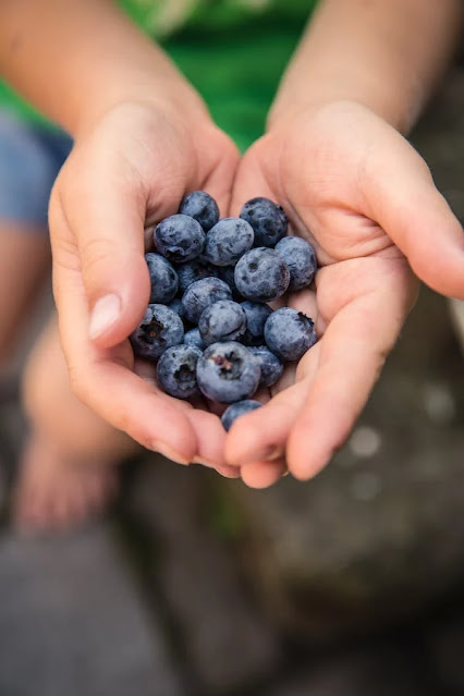 Best 10 Fruits You Should Eat Every Week, According to a Dietitian