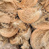 Health Benefits Of Coconut Husk- Healing Wonders.