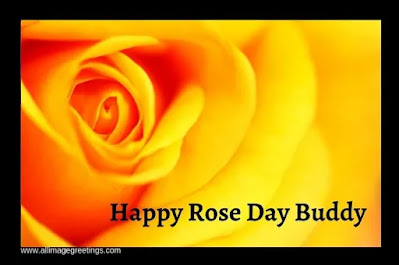 rose day 2022