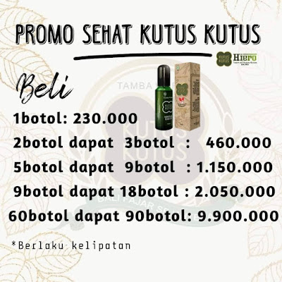 kutus kutus surabaya