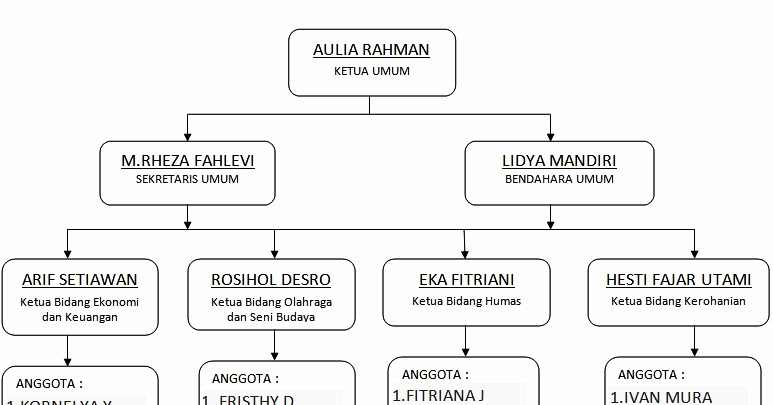 ADE IRMAYANTI: contoh penerapan organisasi di lingkungan 