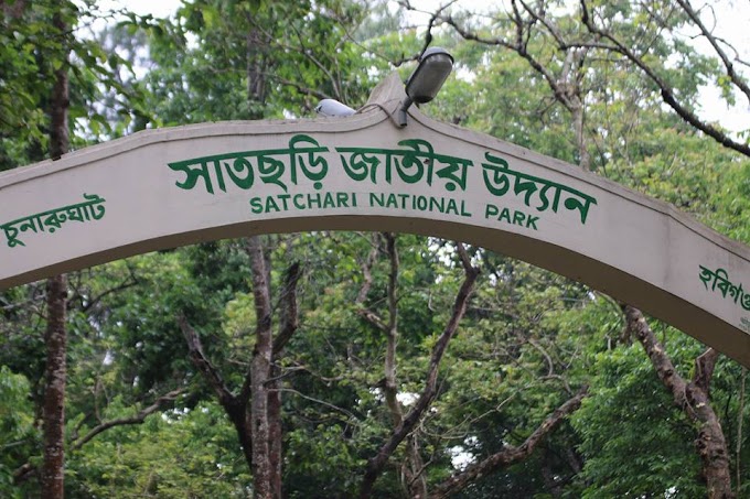 Visit the Satchari National Park in Habiganj Chunarughat