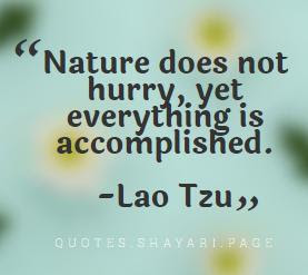 Lao Tzu Quotes-Nature Quotes