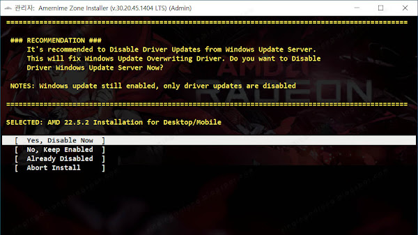 Windows Server 2022 AMD VGA Driver Installation