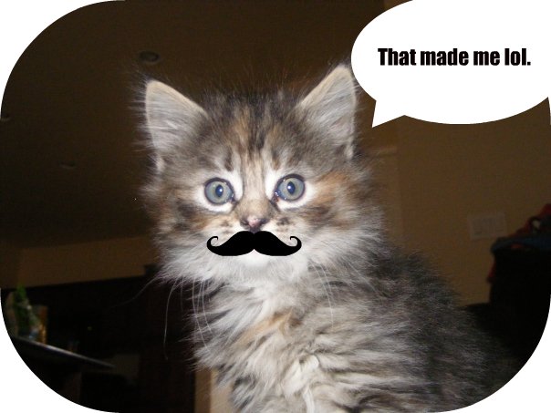 That made me lol.