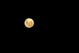 Luna llena amarilla noche