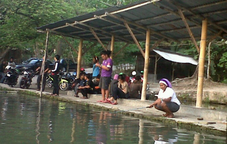 3 Cara Meracik Umpan Ikan Mas Untuk Air Yang Dingin ...