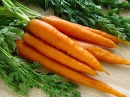 Zanahoria. Beneficios y Propiedades