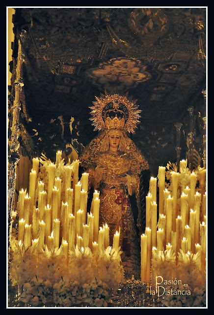 Virgen-Palma-Coronada-2015