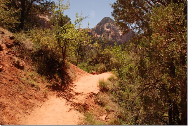 05-03-13 B Trail Emerald Pools Kayenta 101