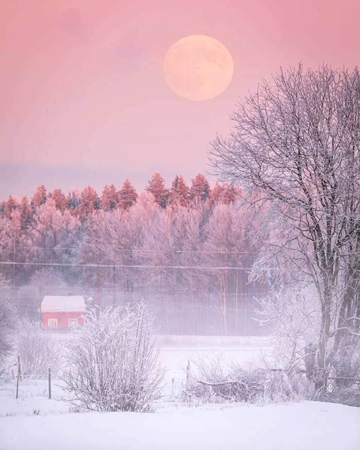 Winter nature of Finland through the lens of Jukka Risikko